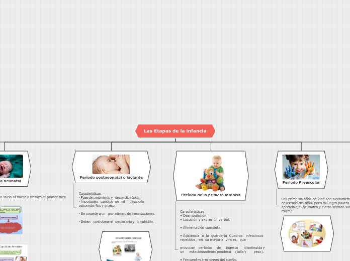 Organigrama arbol