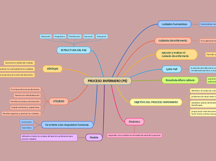 PROCESO ENFERMERO (PE)