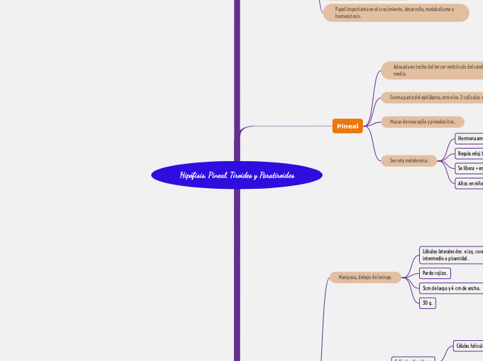Hipófisis, Pineal, Tiroides y Paratiroides