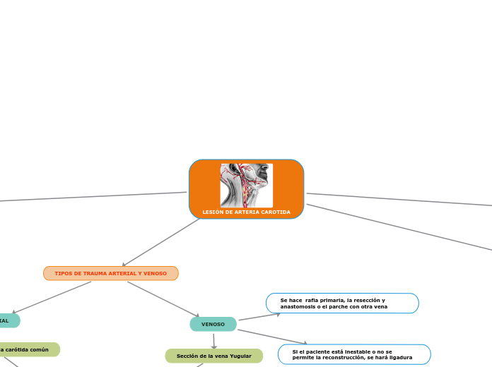 LESIÓN DE ARTERIA CAROTIDA