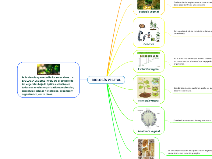 BIOLOGÍA VEGETAL