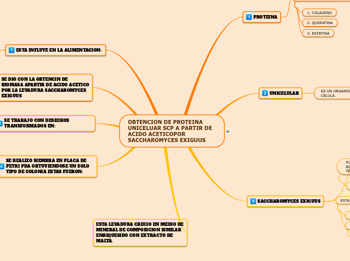 OBTENCION DE PROTEINA UNICELUAR SCP A PARTIR DE ACIDO ACETICOPOR SACCHAROMYCES EXIGUUS