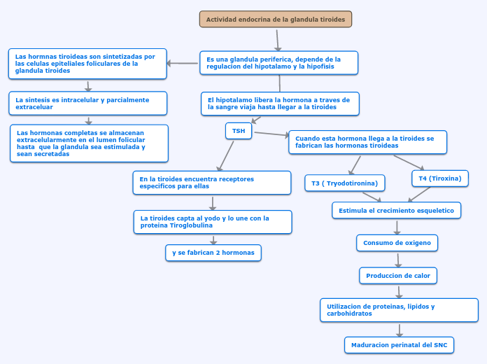 Actividad endocrina de la glandula tiroides