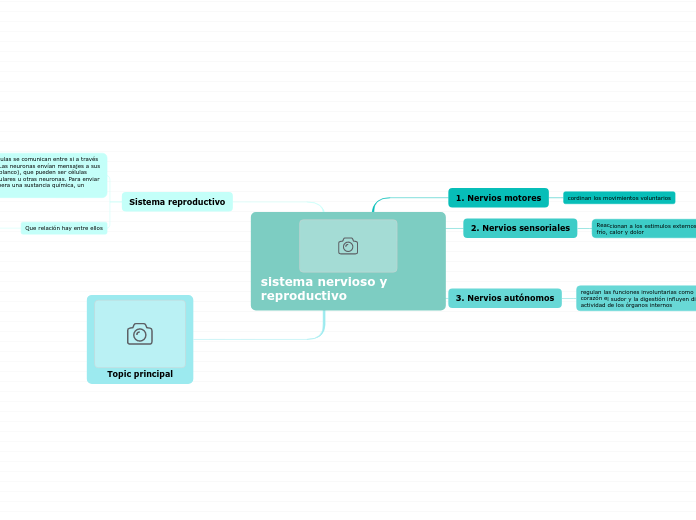 sistema nervioso y reproductiv