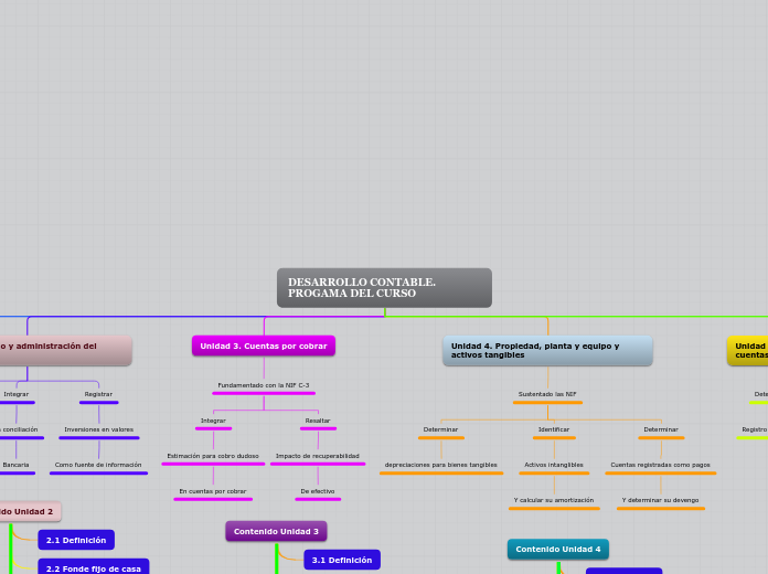 Mapa Conceptual del programa del curso