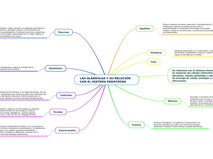 LAS GLÁNDULAS Y SU RELACIÓN CON EL SISTEMA ENDÓCRINO