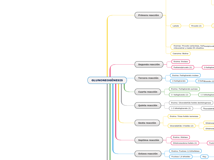 GLUNONEOGÉNESIS