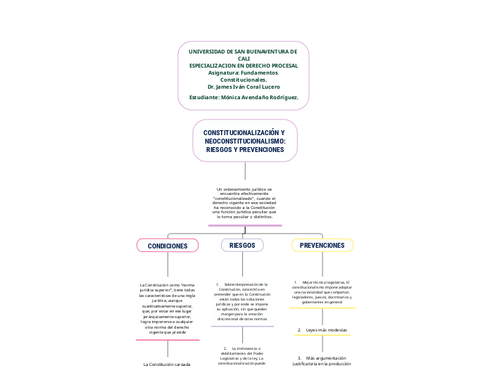 CONSTITUCIONALIZACIÓN Y NEOCONSTITUCIONALISMO:RIESGOS Y PREVENCIONES