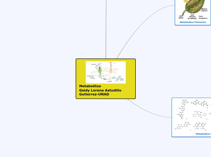 Metabolitos                   Geidy Lorena Astudillo Gutierrez-UNAD