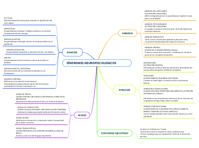 SÍNDROMES NEUROPSICOLOGICOS