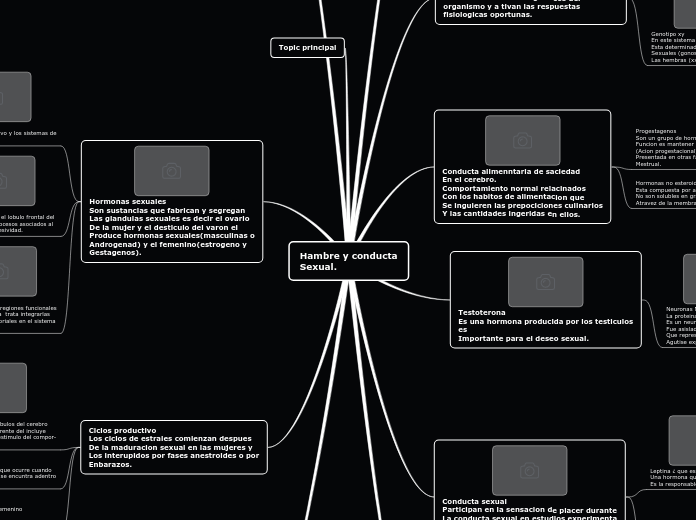 Hambre y conducta sexual