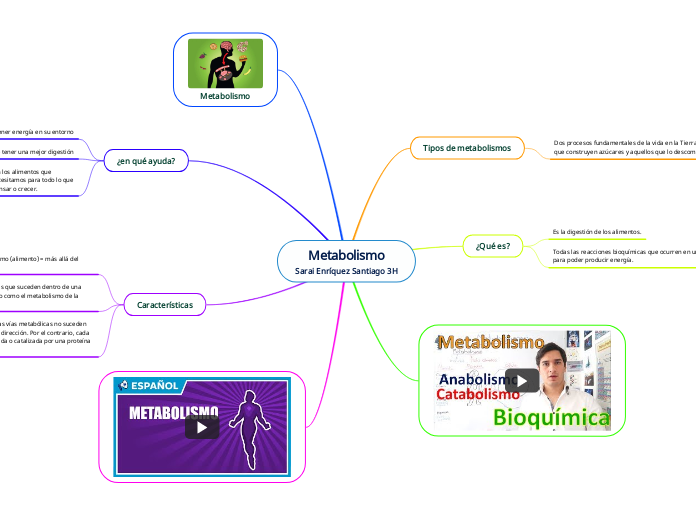 Metabolismo
Sarai Enríquez Santiago 3H