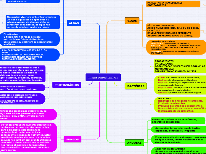 mapa conceitual 01