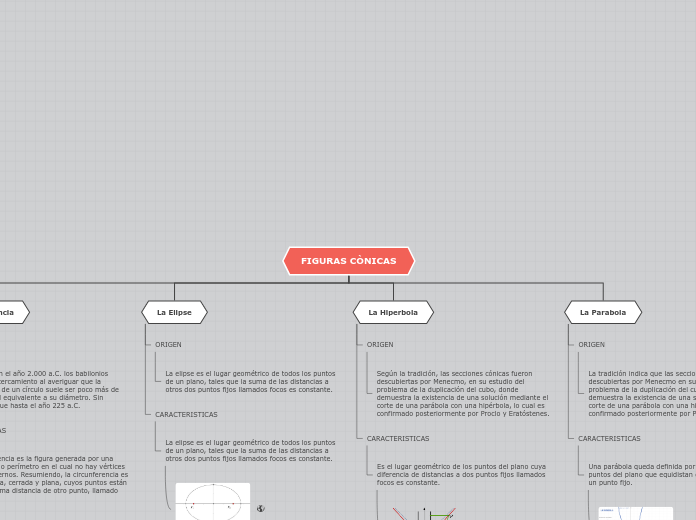 Organigrama arbol