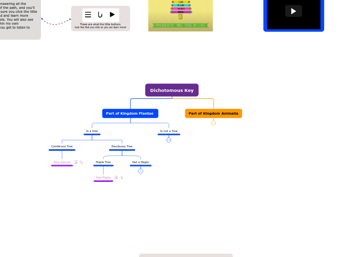 Dichotomous Key