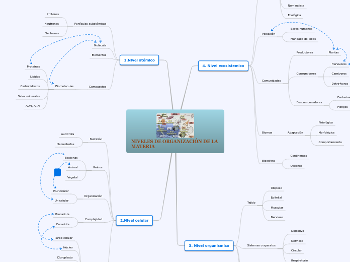 niveles de organizacion de la vida
