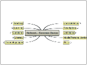 Netbook - Common Device