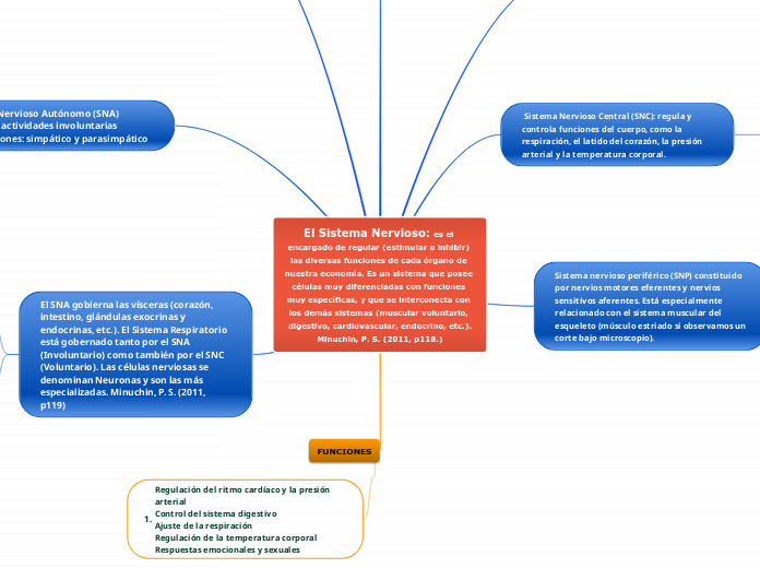 El Sistema Nervioso: es el encargado de regular (estimular o inhibir) las diversas funciones de cada órgano de nuestra economía. Es un sistema que posee células muy diferenciadas con funciones muy específicas, y que se interconecta con los demás sistemas (muscular voluntario, digestivo, cardiovascular, endocrino, etc.).
Minuchin, P. S. (2011, p118.)

