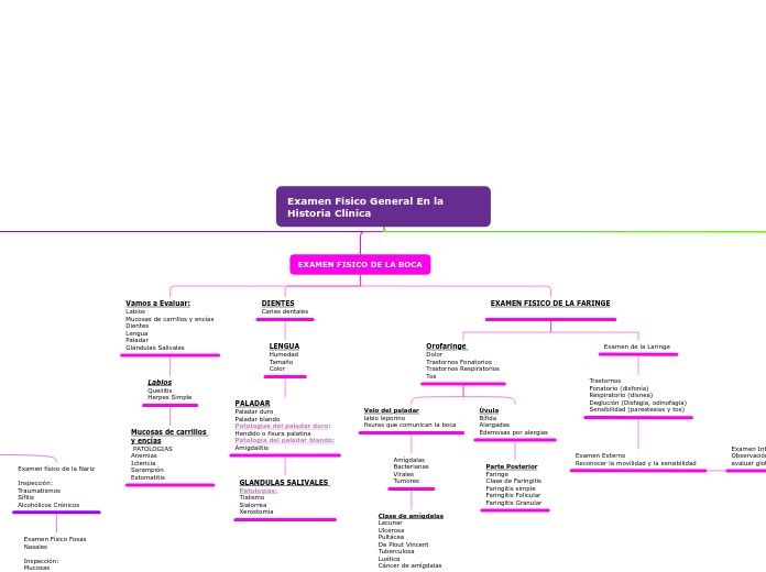 Examen Físico General En la Historia Clínica 
