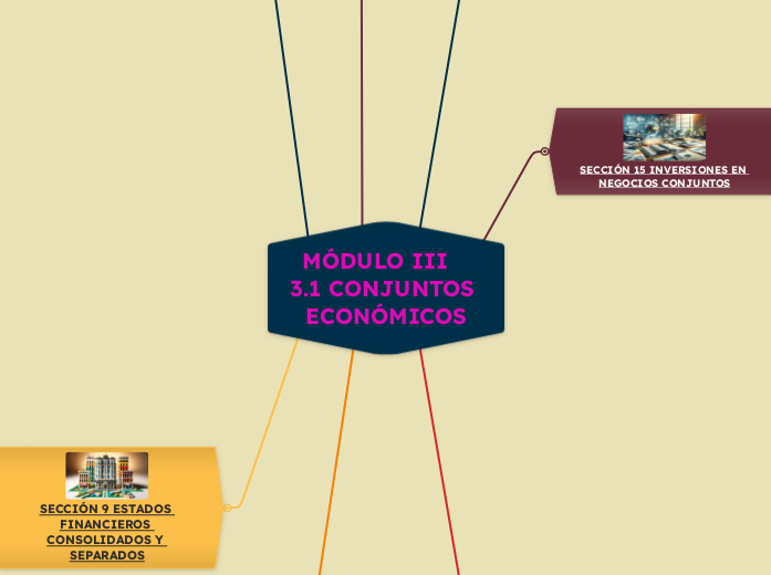 MÓDULO III   3.1 CONJUNTOS ECONÓMICOS