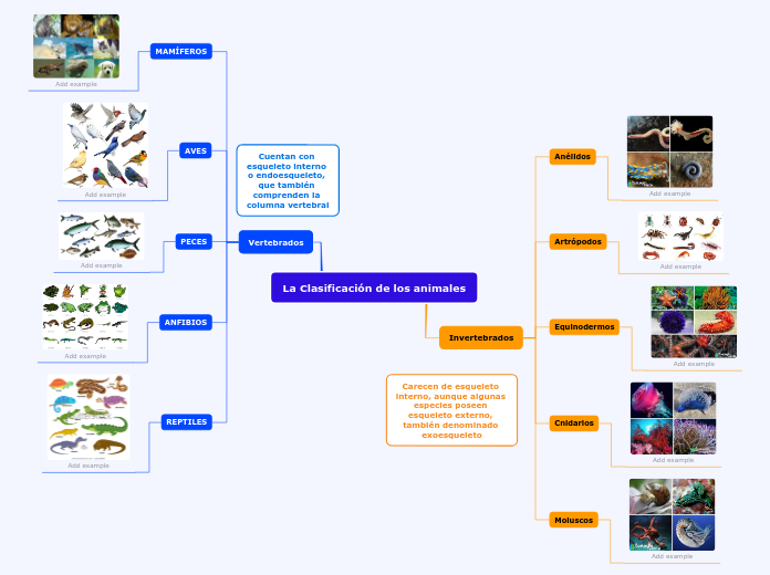 La Clasificación de los animales