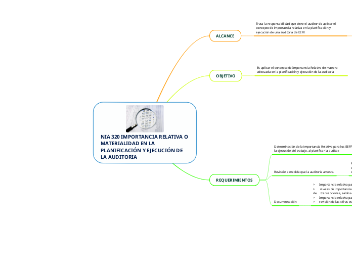 NIA 320 IMPORTANCIA RELATIVA O MATERIALIDAD EN LA PLANIFICACIÓN Y EJECUCIÓN DE LA AUDITORIA