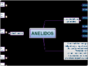 ANELIDOS