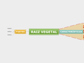 RAIZ VEGETAL