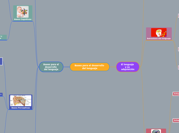 Bases para el desarrollo del lenguaje