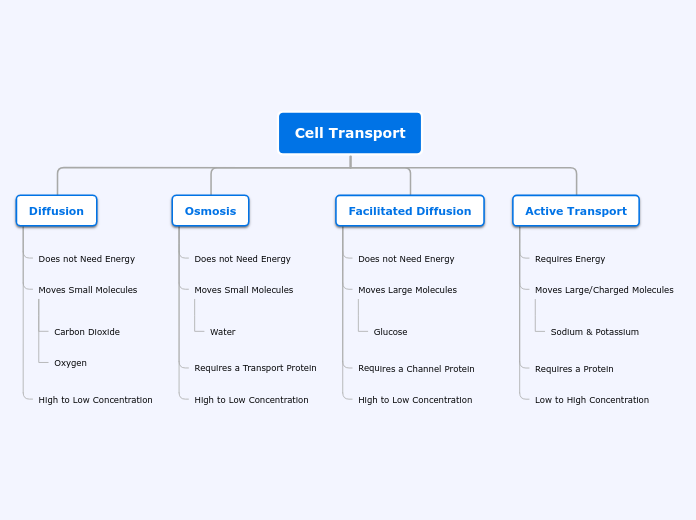 Cell Transport