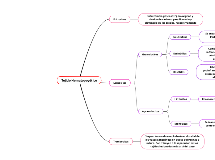 Tejido Hematopoyético