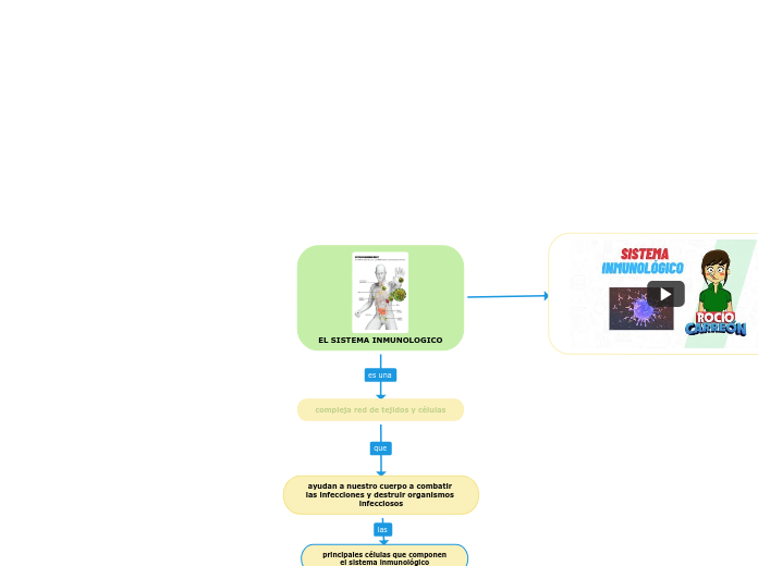 EL SISTEMA INMUNOLOGICO