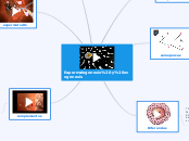 Eapermatogenesis y ovogenesis