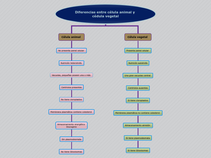 Organigrama