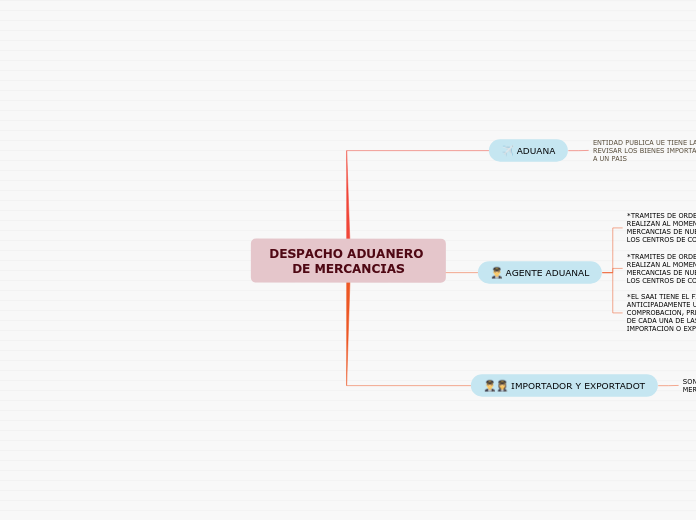 DESPACHO ADUANERO DE MERCANCIAS