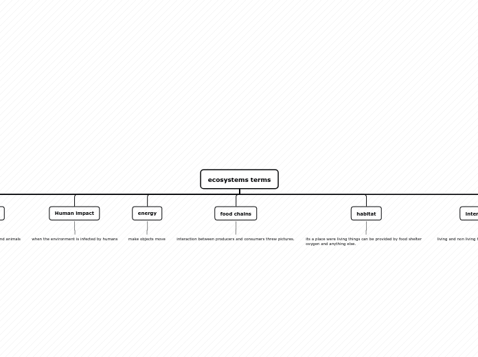 Organigram