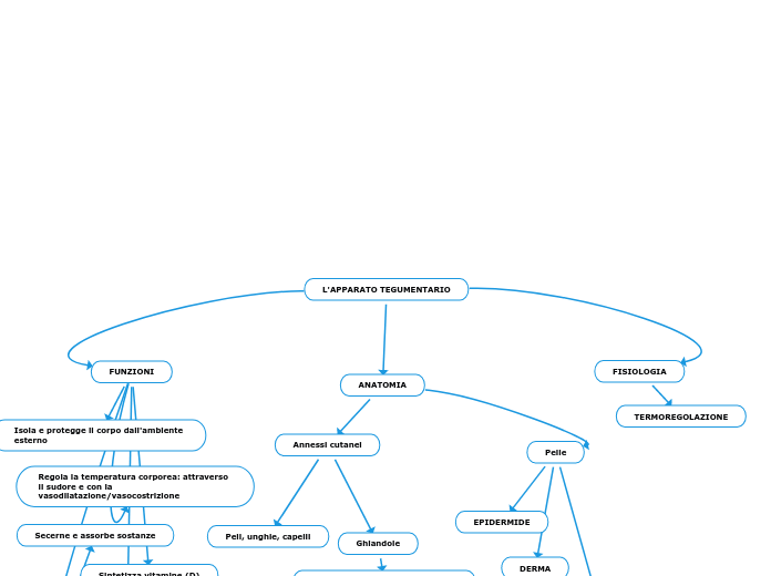 L'APPARATO TEGUMENTARIO
