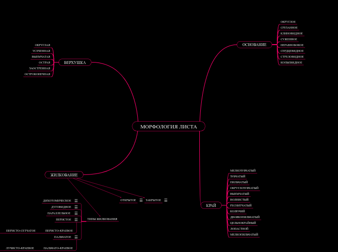 МОРФОЛОГИЯ ЛИСТА