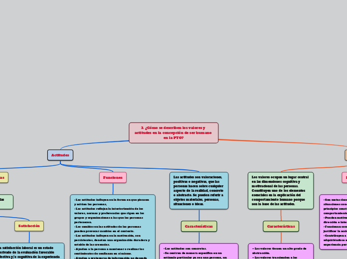 3. ¿Cómo se describen los valores y actitudes en la concepción de ser humano en la PTO?