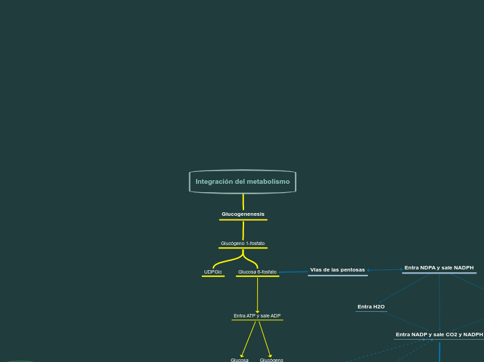 Integración del metabolismo