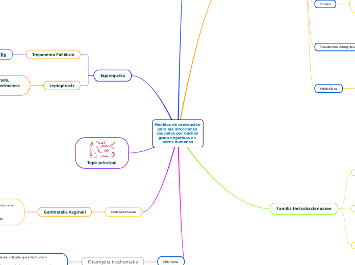 Medidas de prevención para las infecciones causadas por bacilos gram negativos en seres humanos