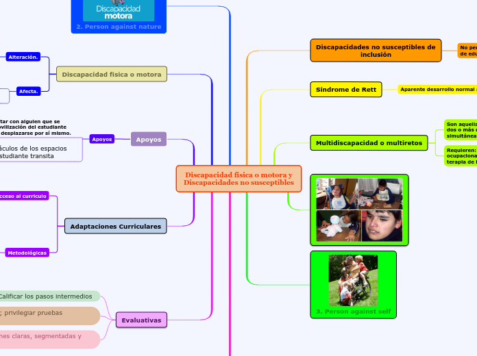 Discapacidad física o motora y
Discapacidades no susceptibles