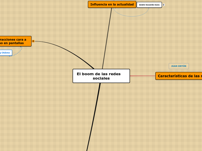 El boom de las redes    sociales