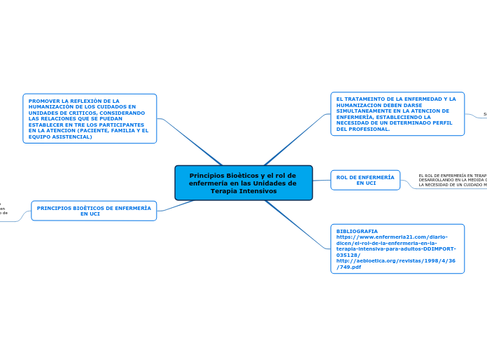 Principios Bioèticos y el rol de enfermería en las Unidades de Terapia Intensivos