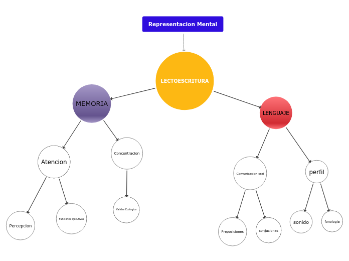 Representacion Mental