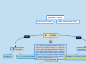 MAPA CONCEPTUAL DEL E-MAIL