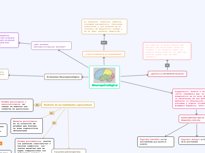 Neuropsicológica