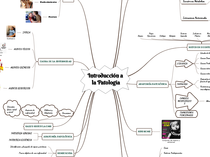 ‎Introducción‎ a la Patología