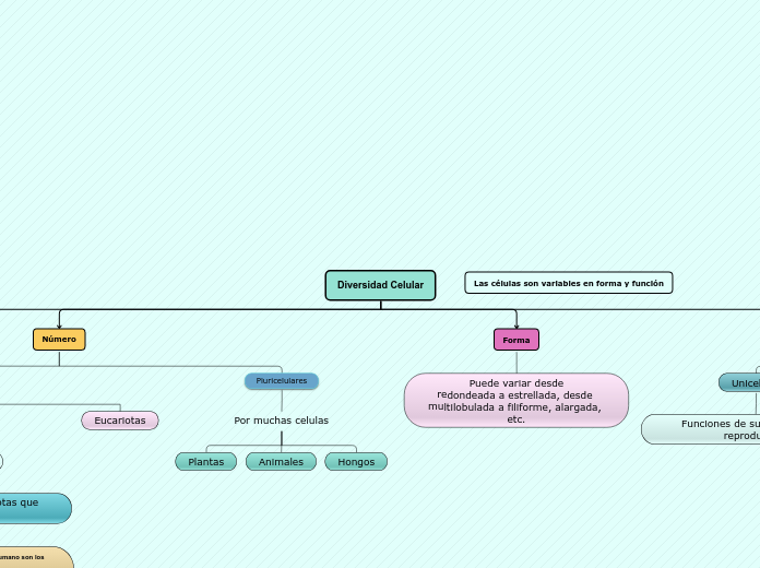 Diversidad Celular