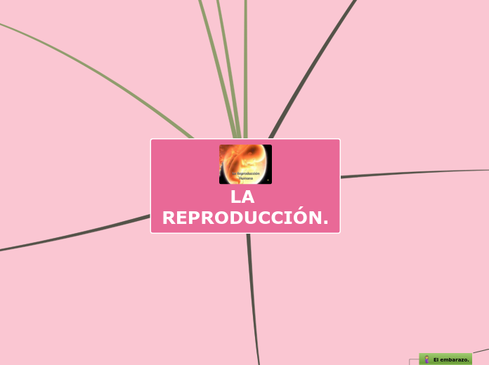 LA REPRODUCCIÓN.